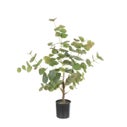 Product thumbnail image 2