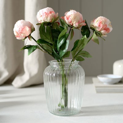 Hybrid Peony Bud Pink