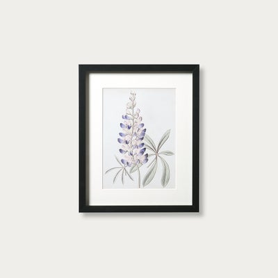 Antique Botanical II Small Wall Art (26x32cm)