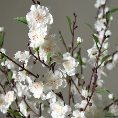 Cherry Blossom Stem Bunch