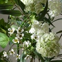Product thumbnail image 2