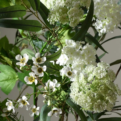 White Lilac and Queen Anne Lace