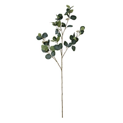 Eucalyptus Spray With Berries