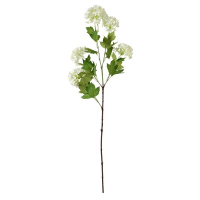 Viburnum Spray White