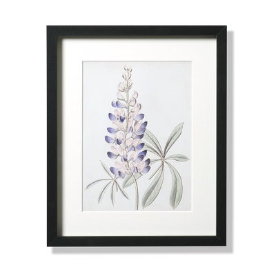 Antique Botanical II Small Wall Art (26x32cm)