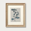 Product thumbnail image 3