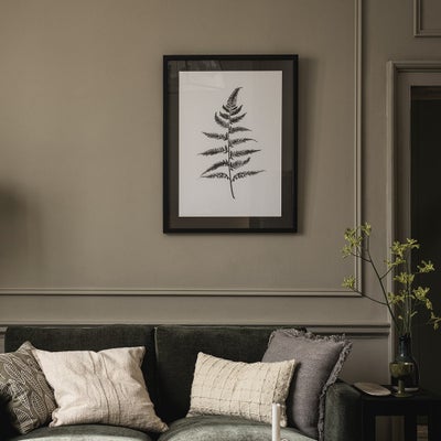 Lynsey Dorman Botanical Study IV Large Wall Art (63.5x83.5cm)