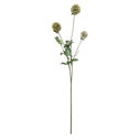 Product thumbnail image 3