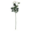 Product thumbnail image 3