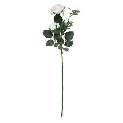 Olivia Rose Spray