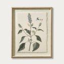 Product thumbnail image 1