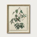 Product thumbnail image 1