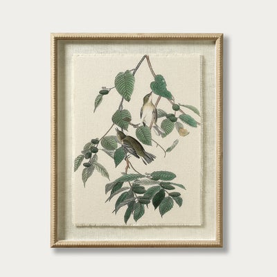 Flora & Fauna Warblers Linen Print
