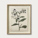 Product thumbnail image 1