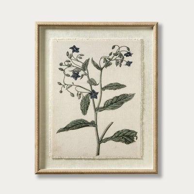 Flora & Fauna Borage Linen Print