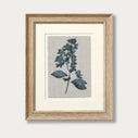 Product thumbnail image 2