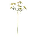 Product thumbnail image 3