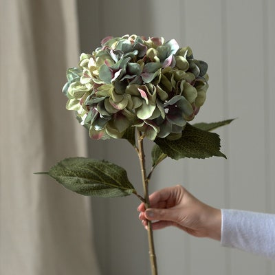 Antique Blue Giant Hydrangea Stem