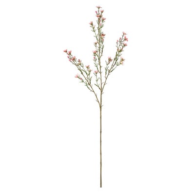 Wax Flower Spray Pink