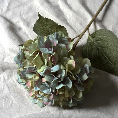 Antique Blue Giant Hydrangea Stem