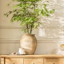 Product thumbnail image 1