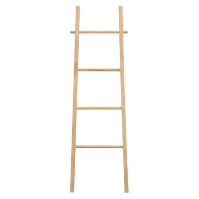 Storage Ladder