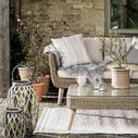 Product thumbnail image 2
