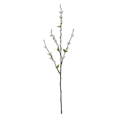 Pussy Willow Stem
