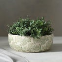 Product thumbnail image 1