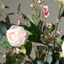 Product thumbnail image 4