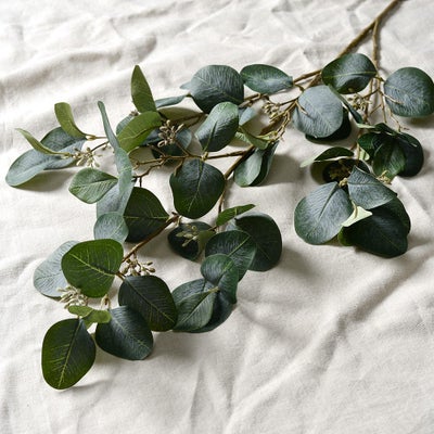 Eucalyptus Spray With Berries