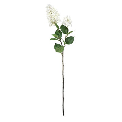 White Lilac and Queen Anne Lace
