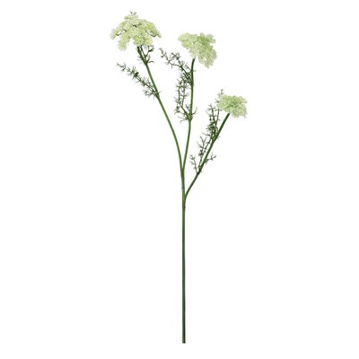 White Lilac and Queen Anne Lace