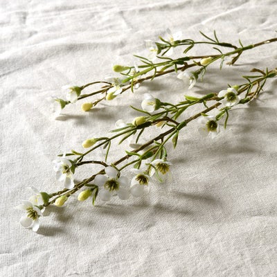 Wax Flower Spray White