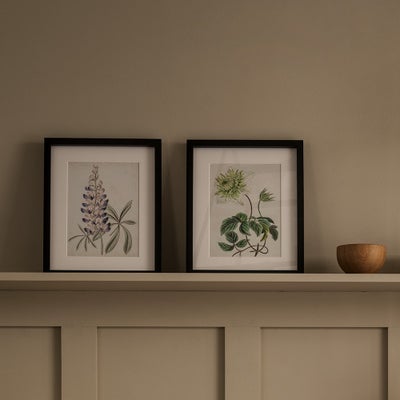 Antique Botanical II Small Wall Art (26x32cm)