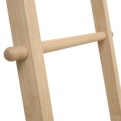 Storage Ladder