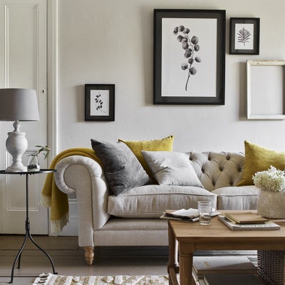 Lynsey Dorman Botanical Study I Large Wall Art (63.5x83.5cm)