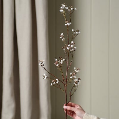 Autumn Gyp Spray