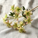 Product thumbnail image 2
