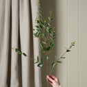Product thumbnail image 1
