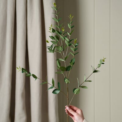 Ruscus Spray