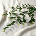 Product thumbnail image 2
