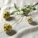 Product thumbnail image 2