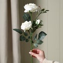 Product thumbnail image 1